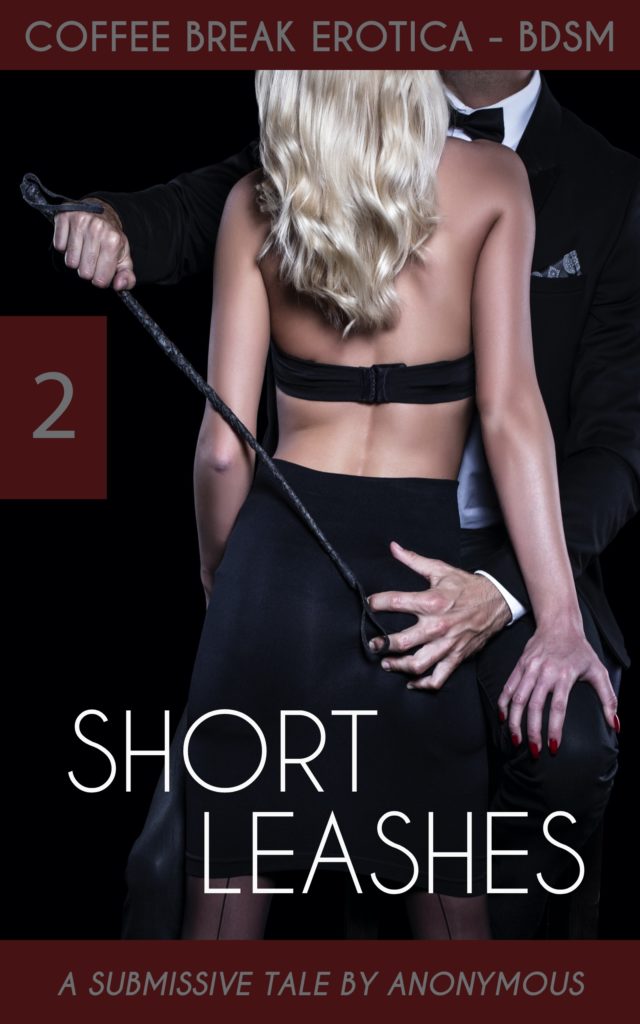 Cover for Coffee Break Erotica BDSM 2: Short Leashes